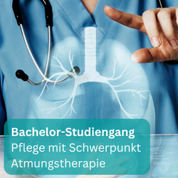 Bachelor-Studiengang